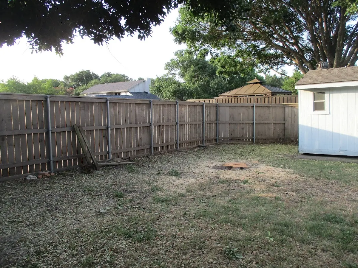 Cleared yard after professional tree removal in Manteno